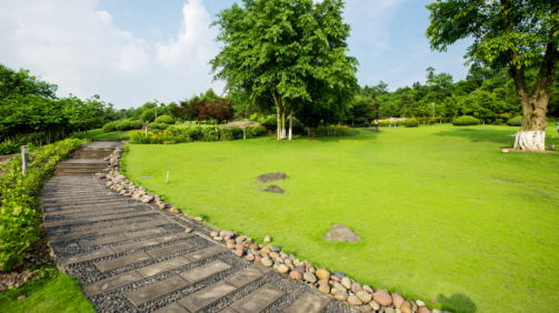 grassland-landscape-greening-environment-park-background-scaled-1