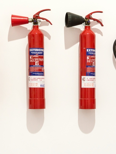 pexels-jan-van-der-wolf-12072478